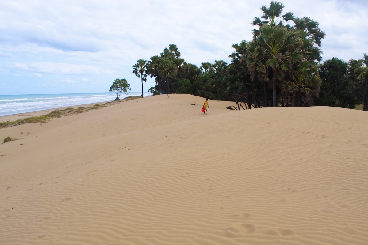 Pantai Oetune