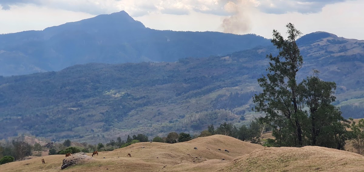 Bukit Humon_Teletubies Lelogama