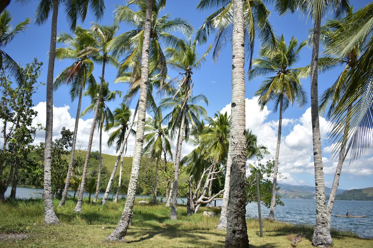 Hosena Island
