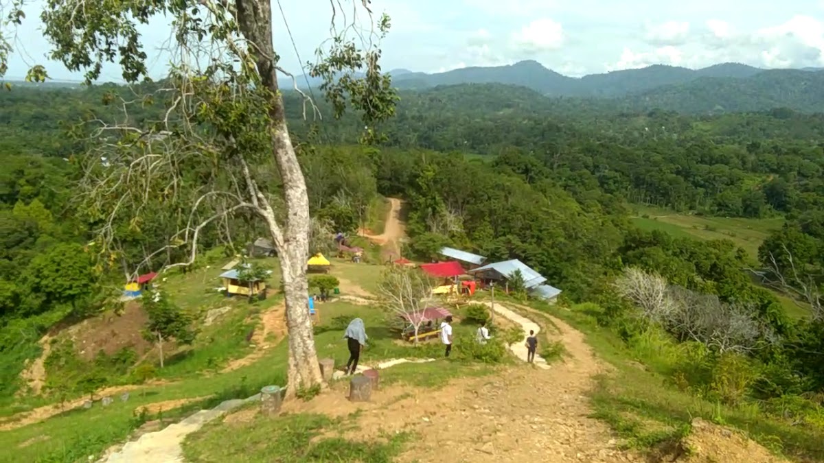 Wisata Pendakian Gunung Sabi