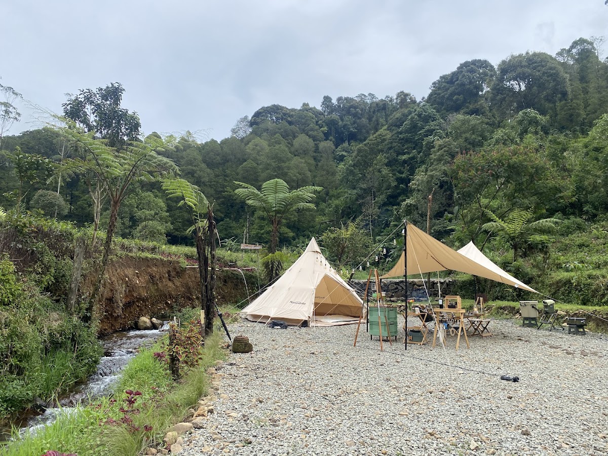 Djamuju Coffee & Camp