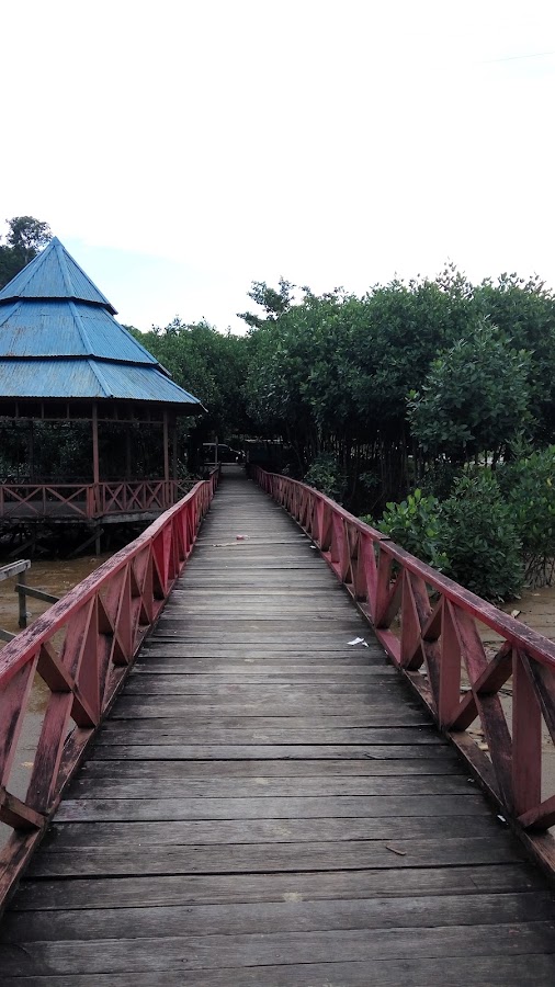 Dermaga Teluk Youtefa