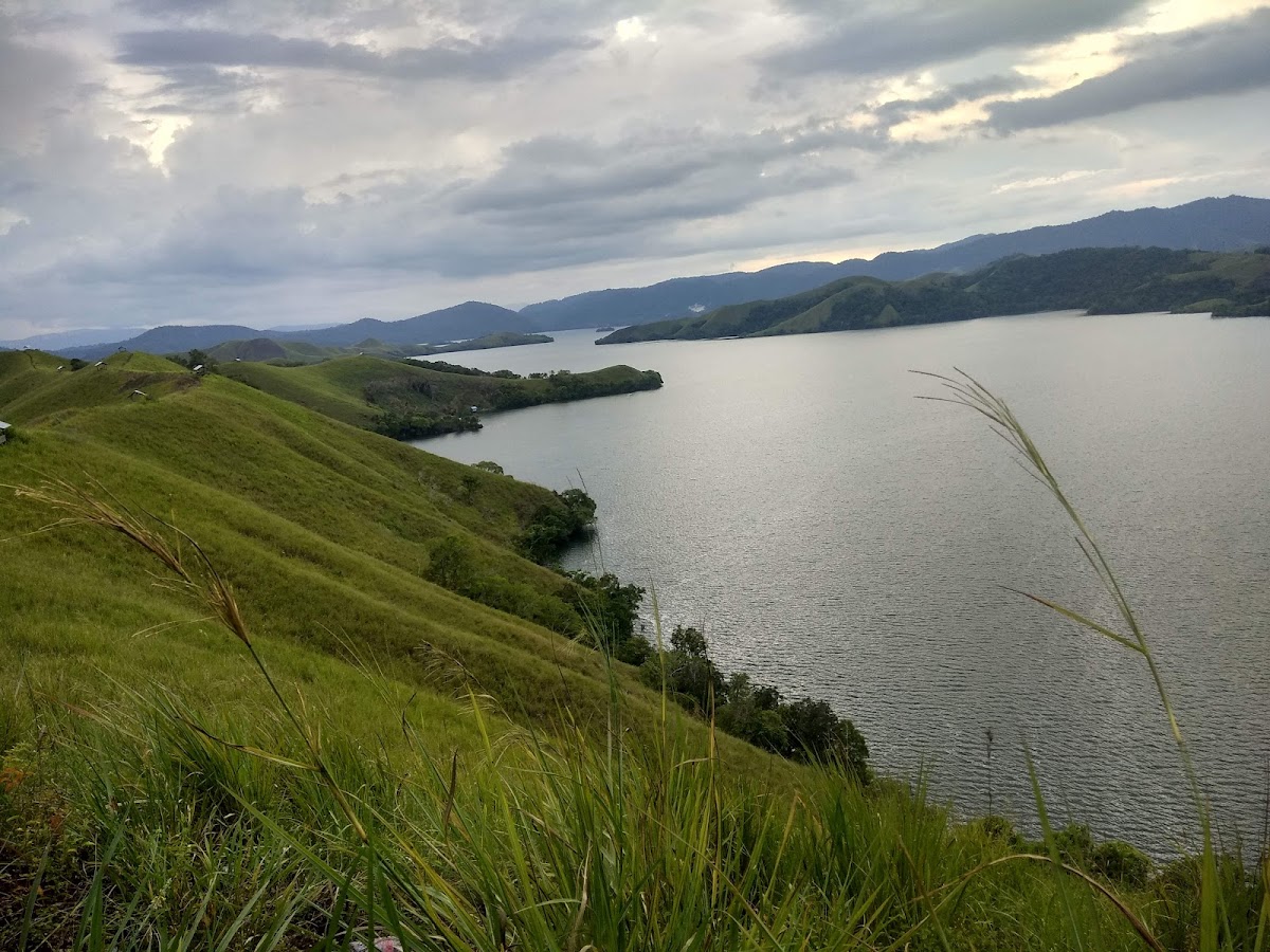 Bukit Tungku Wiri (Bukit Teletubbies)