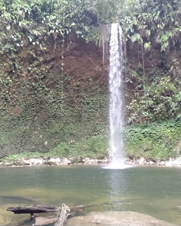 Air Terjun Wodu (Wodu Waterfall). Go to INSTALGRAM:ayabiakpapuasiskarumbarar