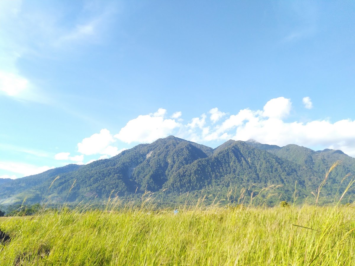 Pegunungan Cycloop