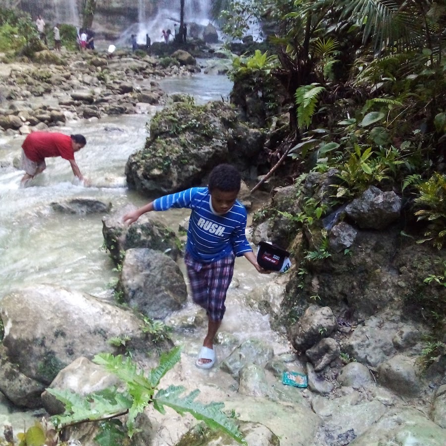 Hutan warioaro Watiaro, Kabupaten Mamberamo Raya, Papua, Indonesia