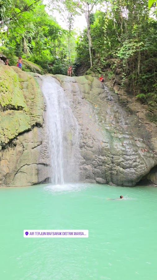 Hutan warioaro Watiaro, Kabupaten Mamberamo Raya, Papua, Indonesia