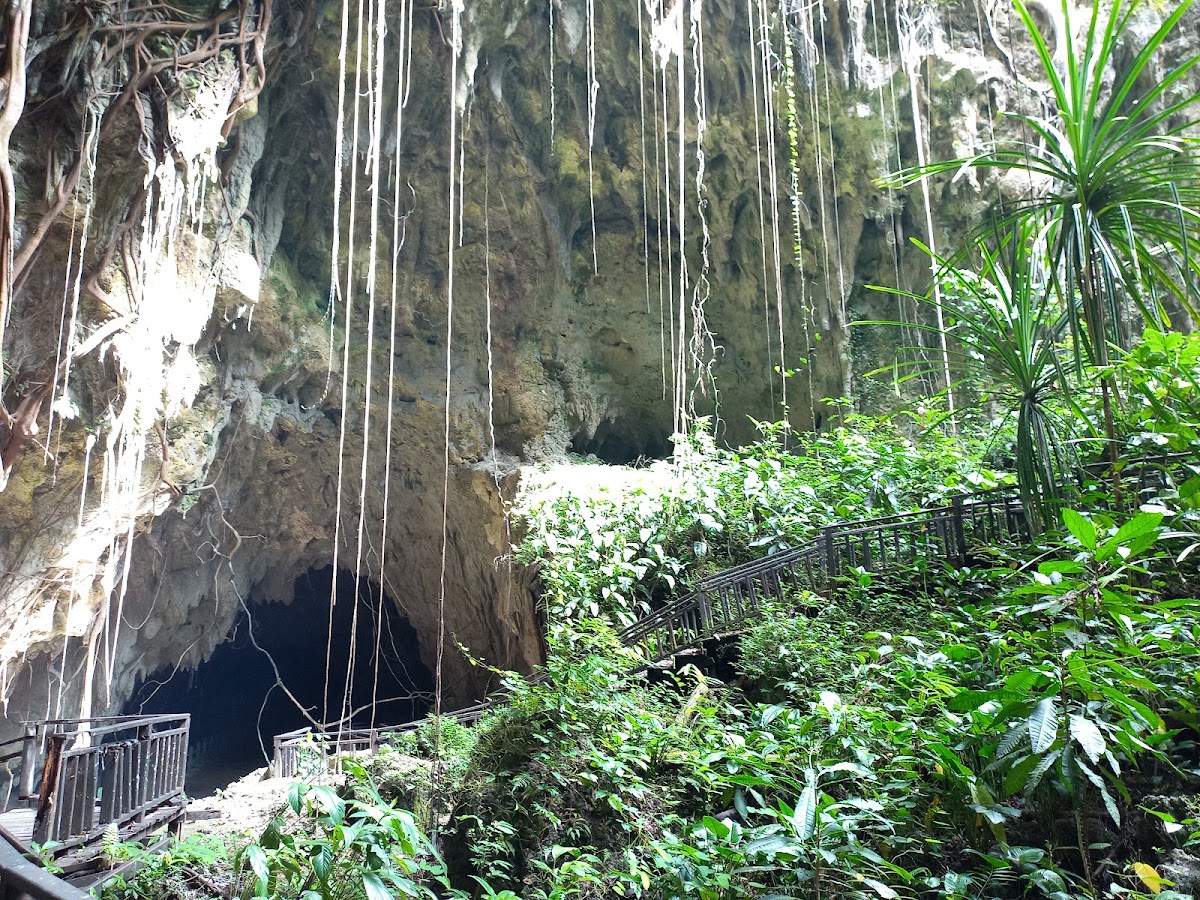 Objek Wisata Goa Jepang Biak Papua