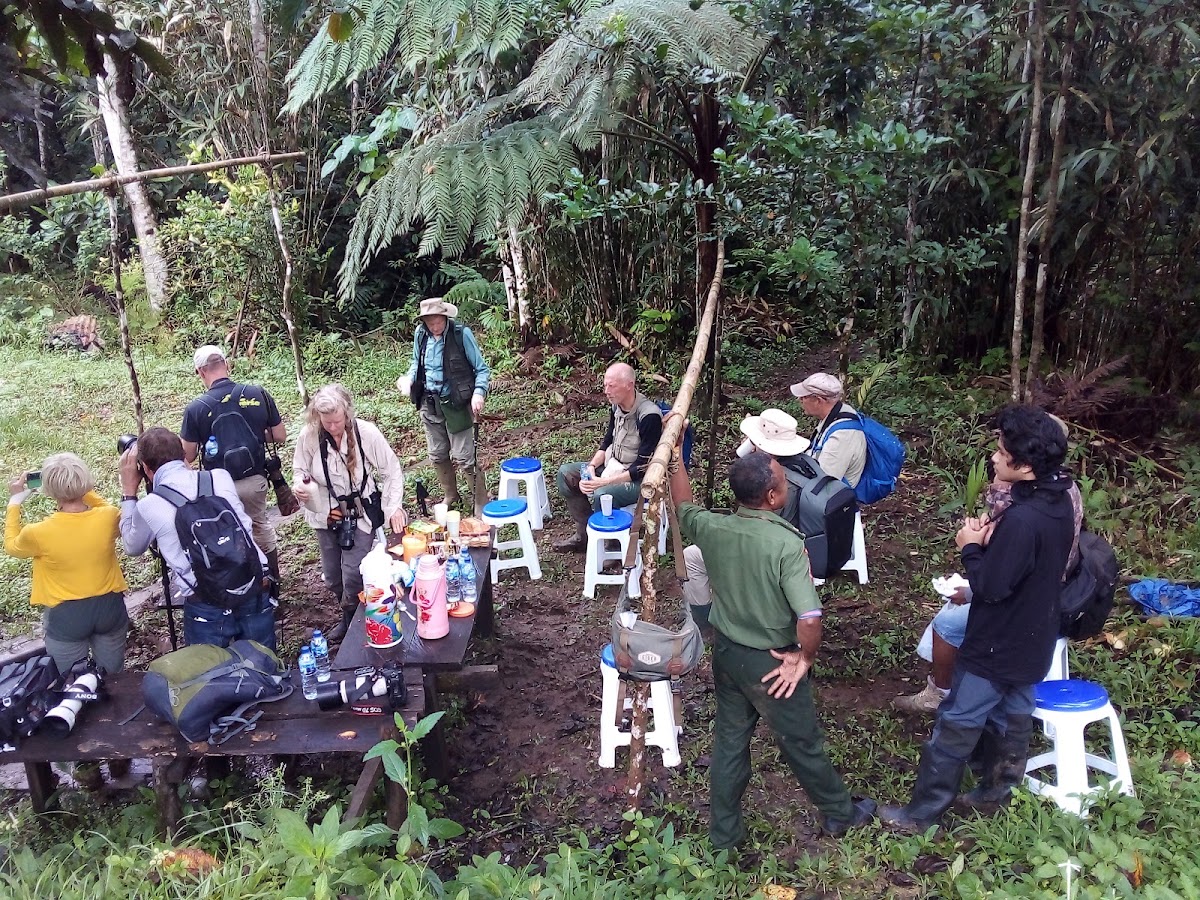 Gunung Umsini