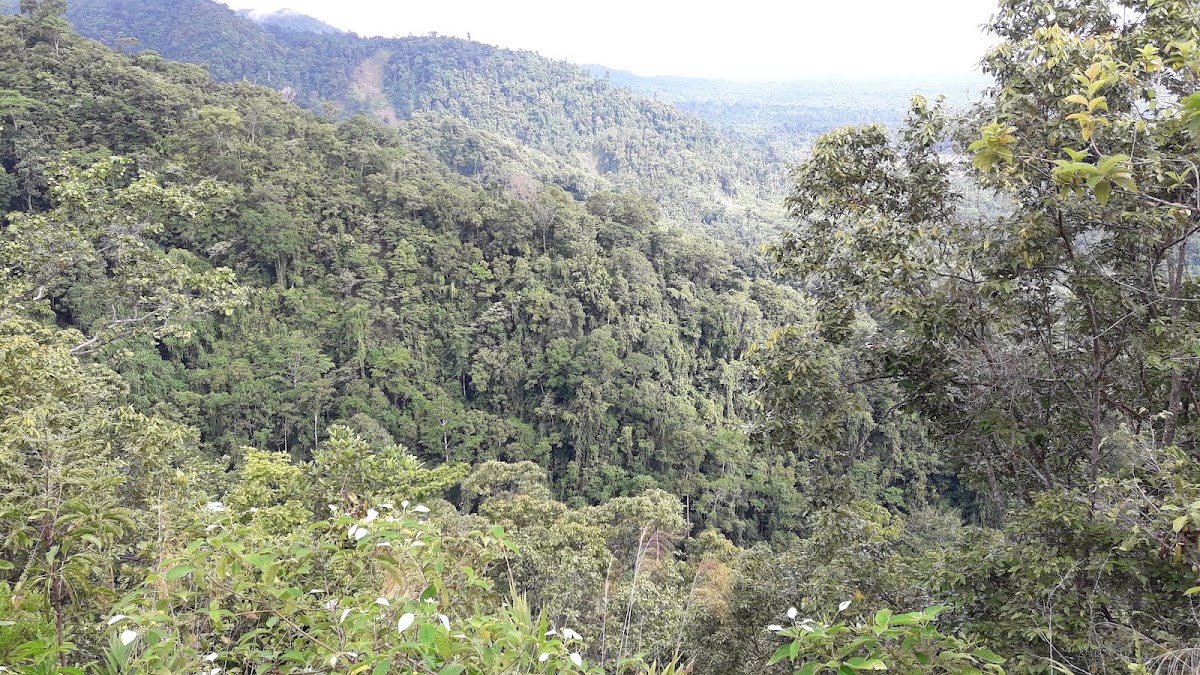 Pegunungan Wondiwoi