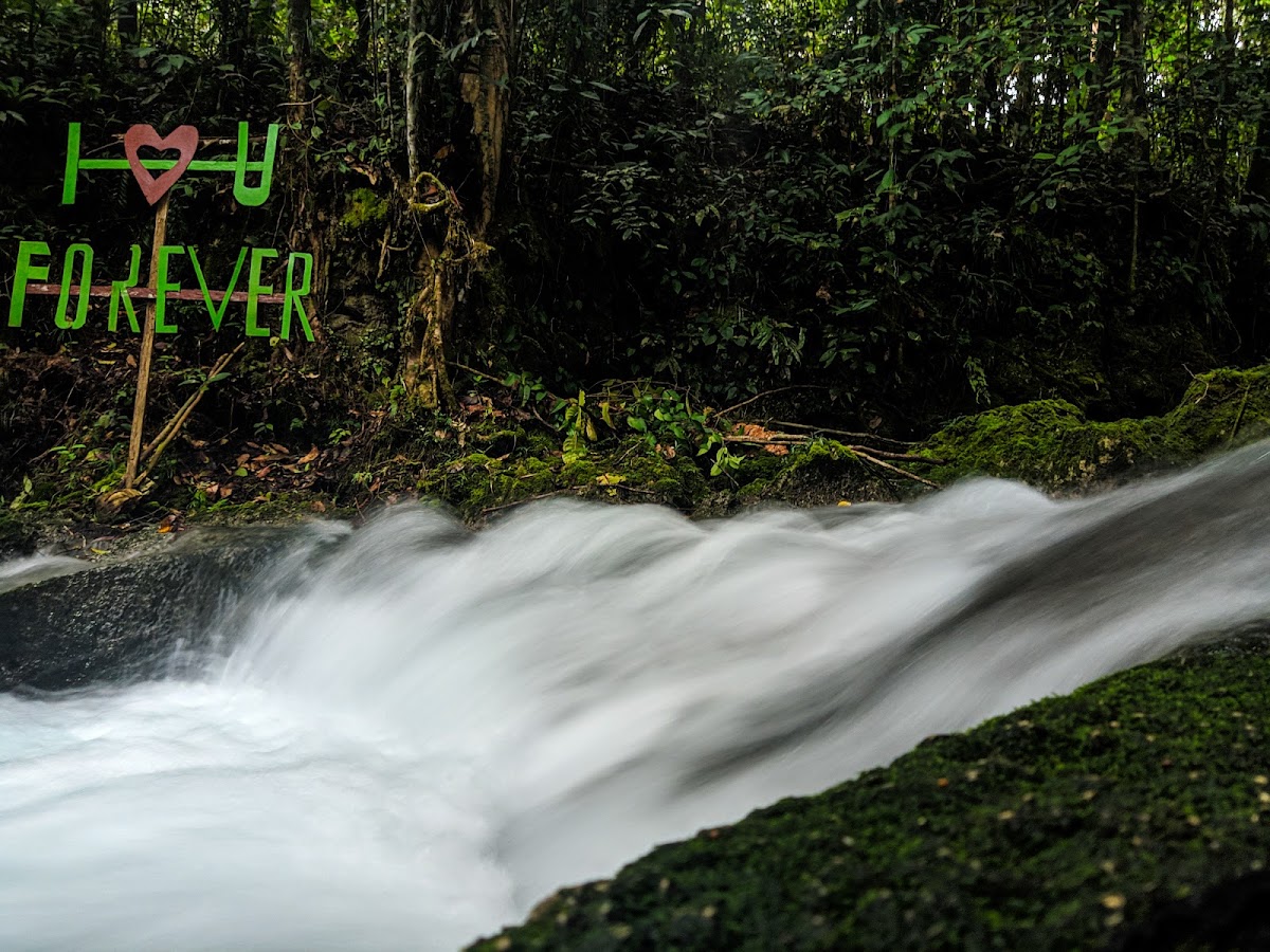 Air Terjun Sesor