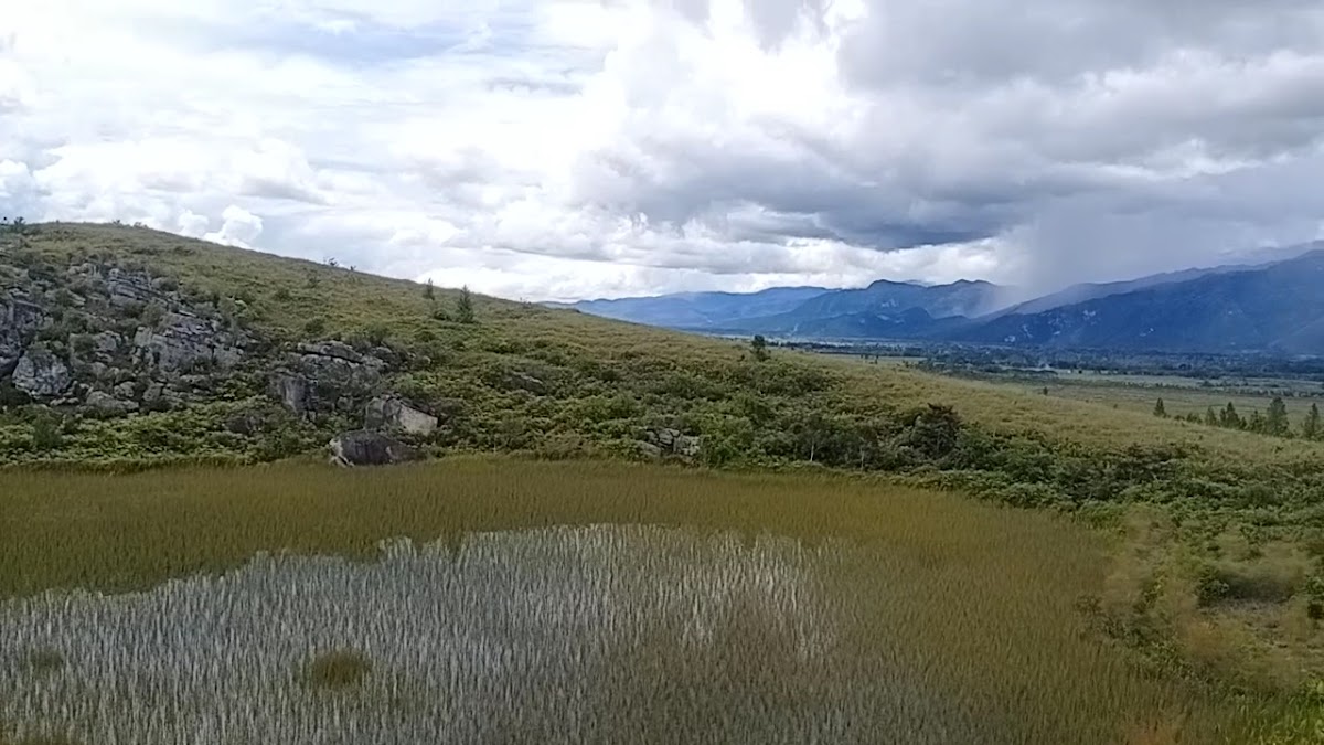 Kolom alam