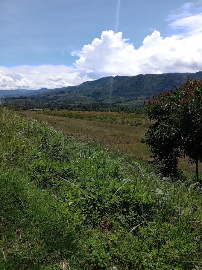 Muliama