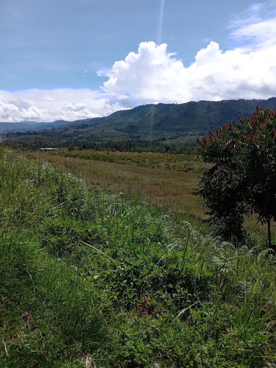 Muliama