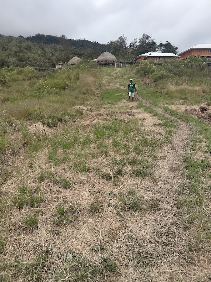 Gunung melepura kab Jayawijaya distrik Tagineri