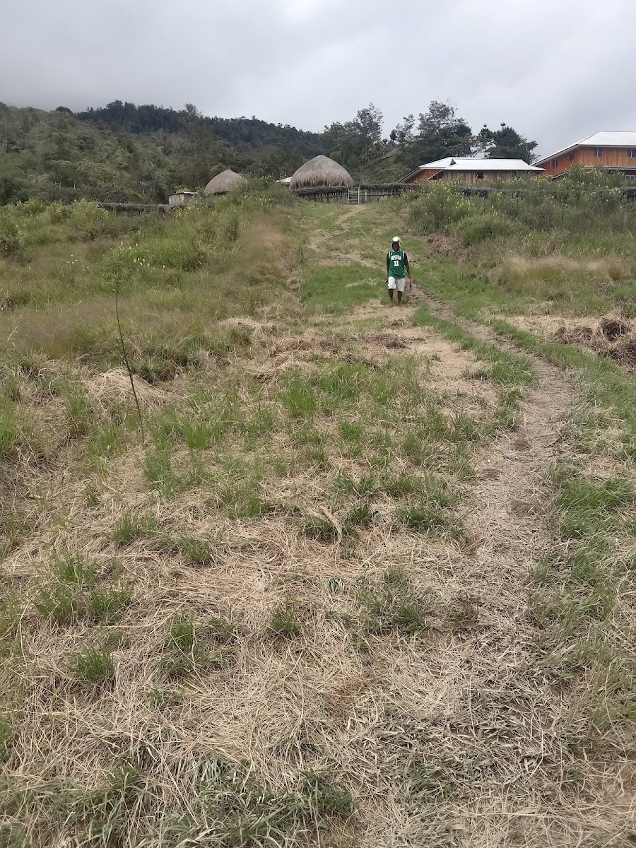 Gunung melepura kab Jayawijaya distrik Tagineri