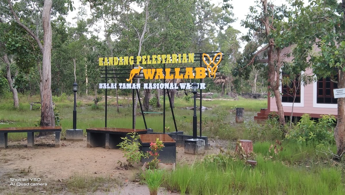 Bumi perkemahan merauke