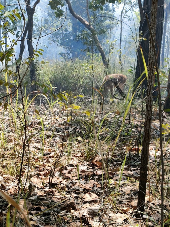 Bumi perkemahan merauke