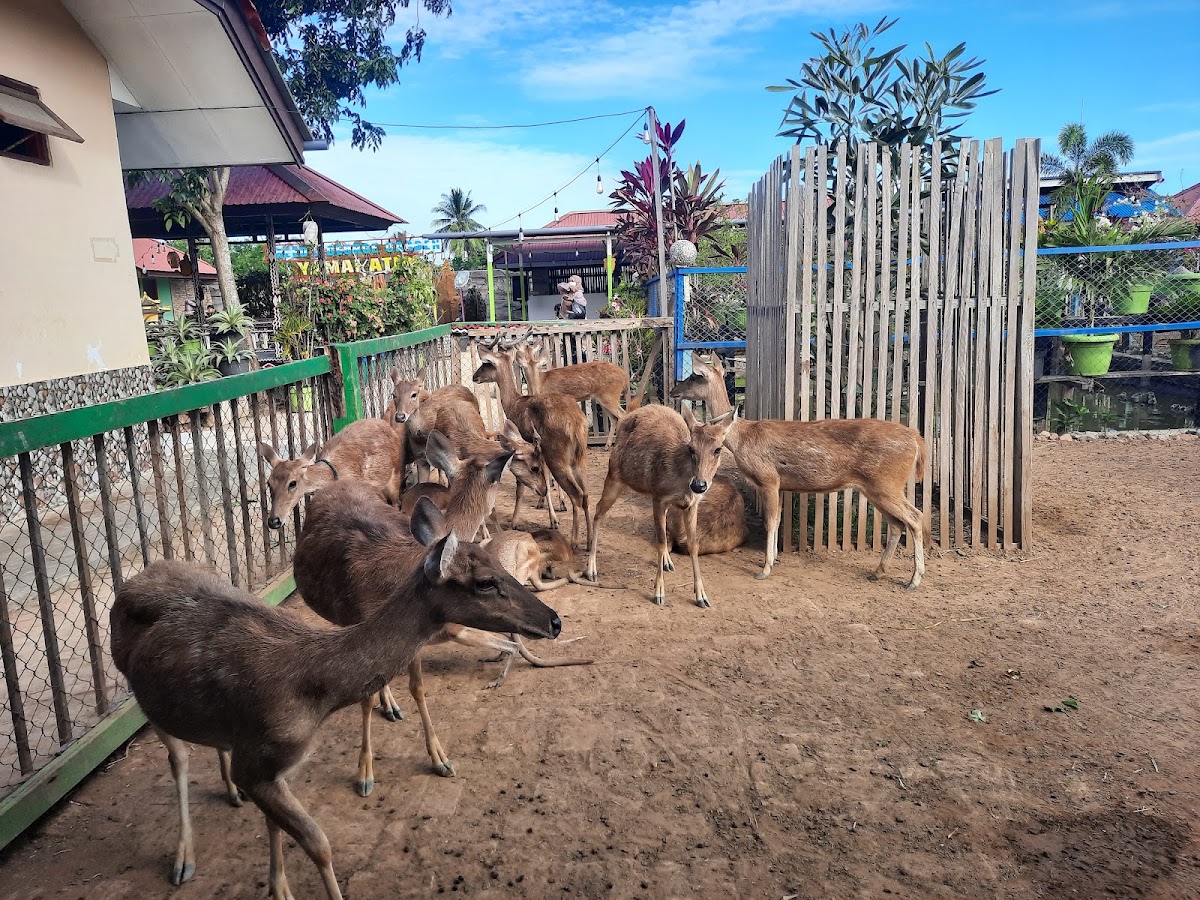 Taman Satwa Yamai Atid