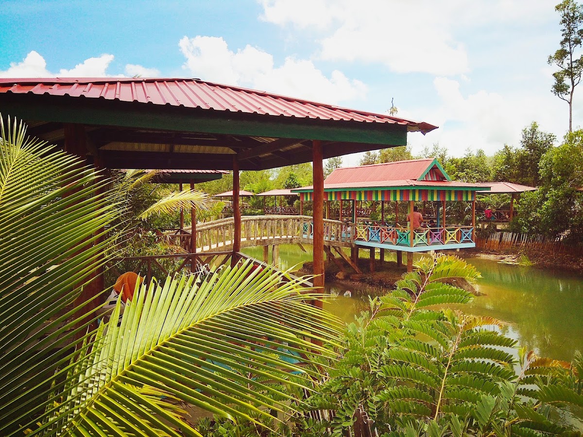 Lotus Garden Merauke - Wisata Hutan Alam
