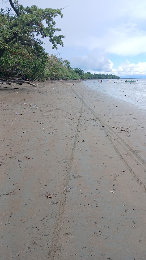 Pantai Budi