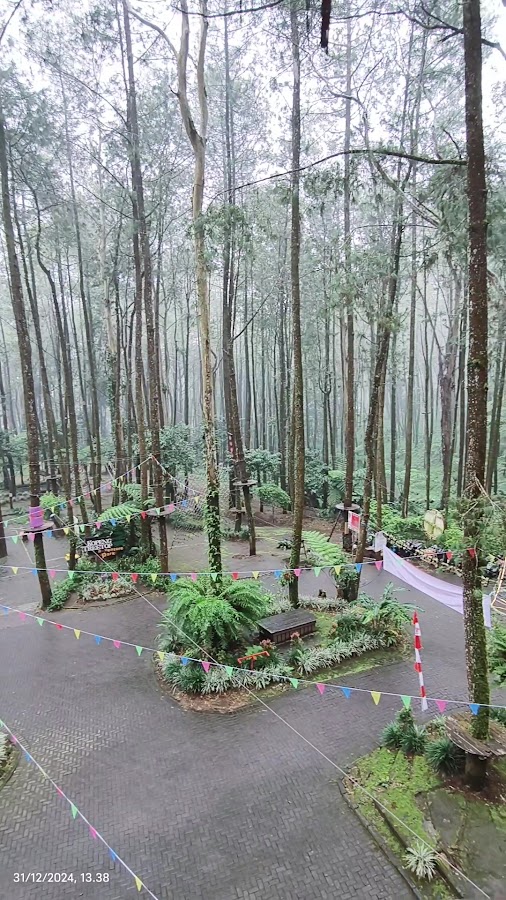 Kopeng Treetop Adventure Park