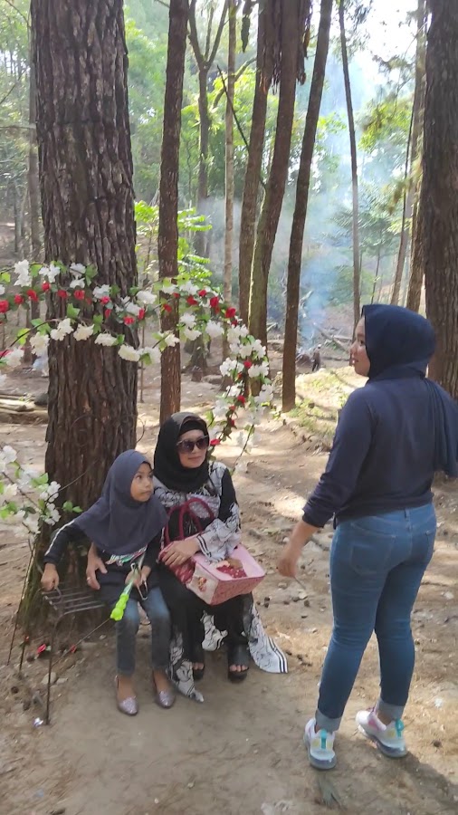 Hutan Kota Bangkinang