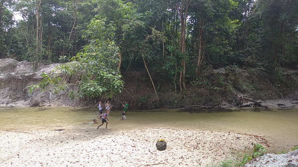 Eko Wisata Hutan Adat Imbo Putui