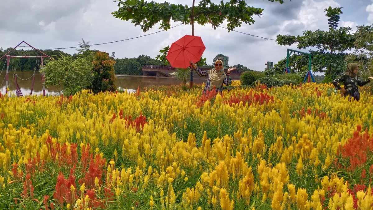 Taman Bunga Impian