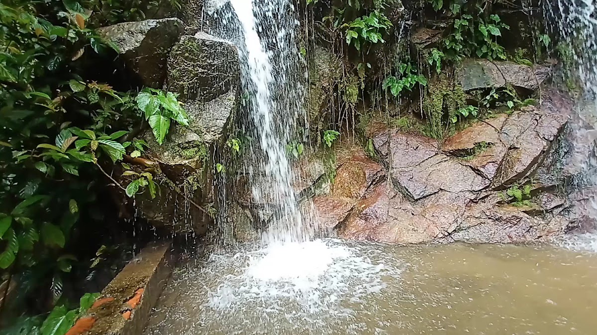 Taman Nasional Bukit Tigapuluh