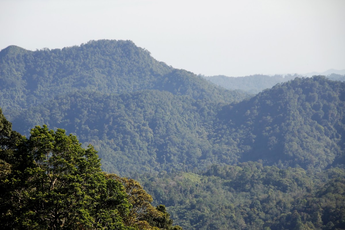 Bukit Jadi