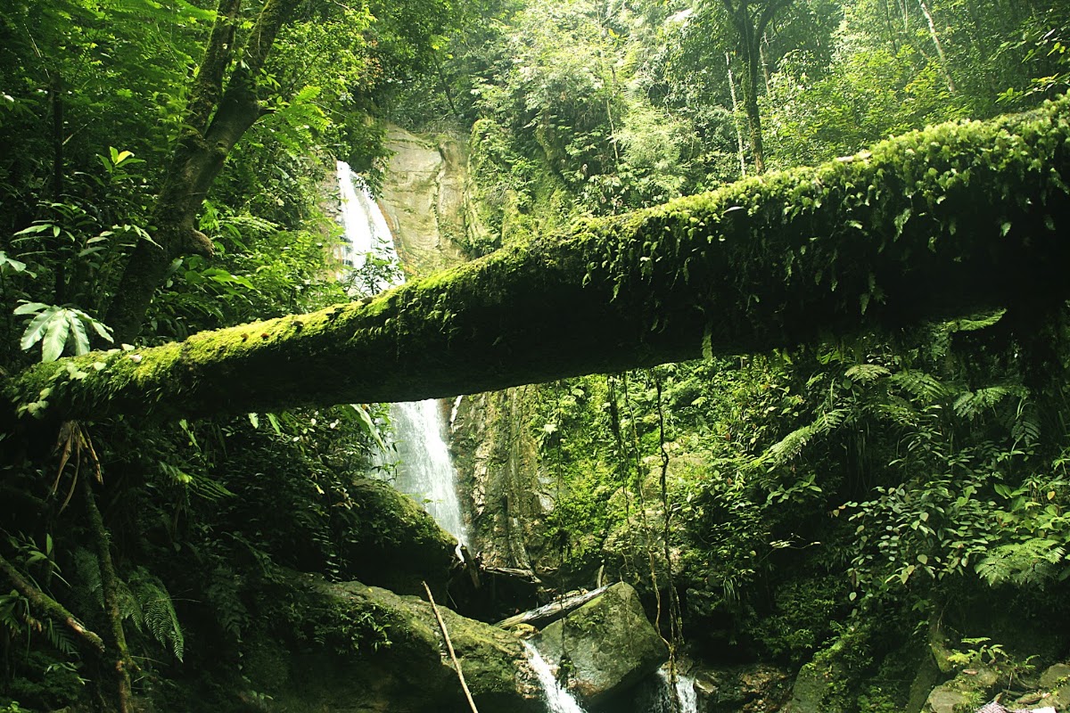 Bukit Jadi