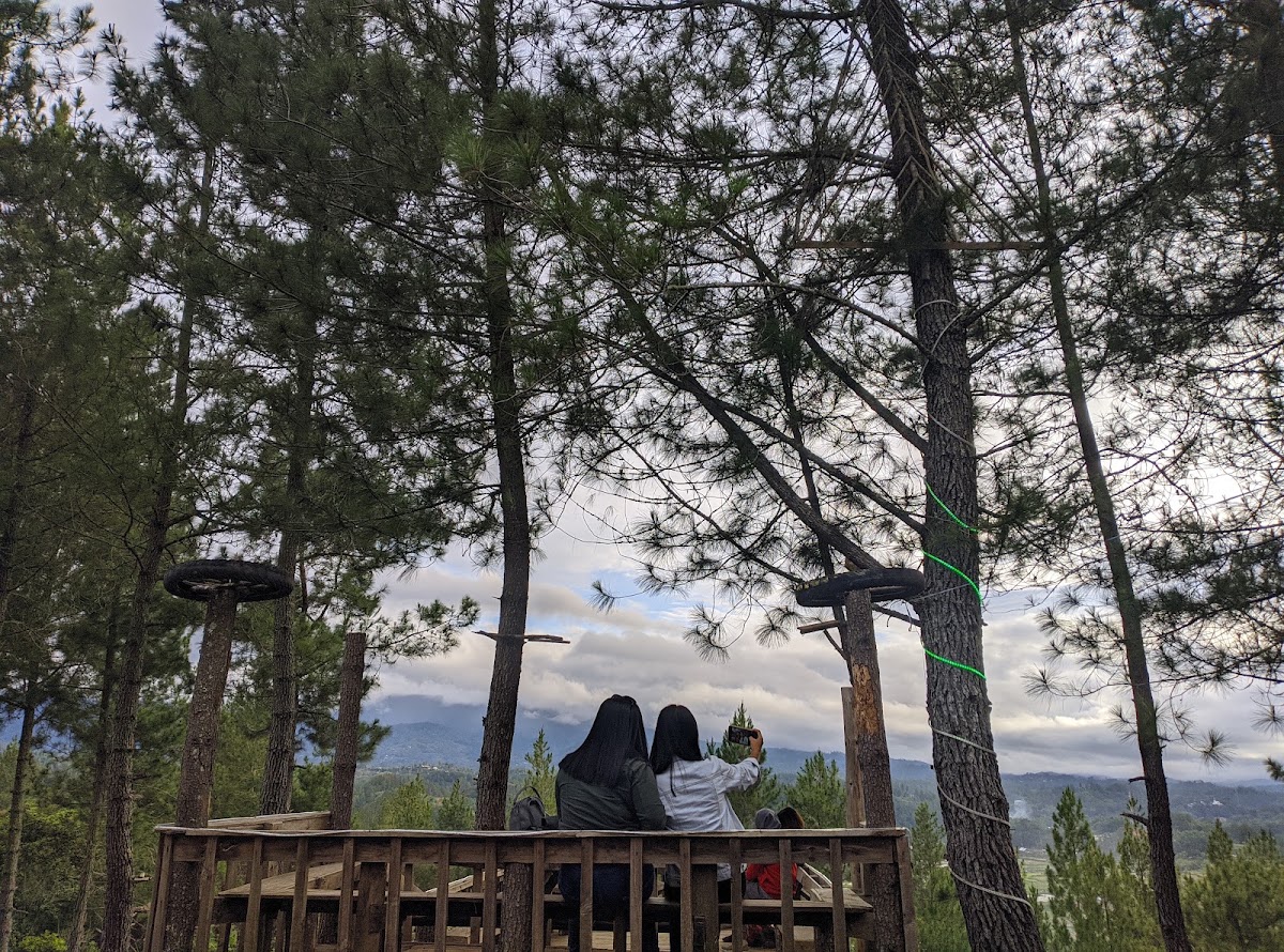 Hutan Pinus Li'bo'