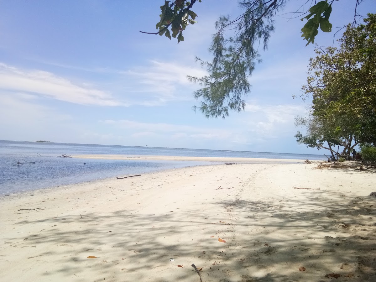 Tanjung Ngalo Mamuju