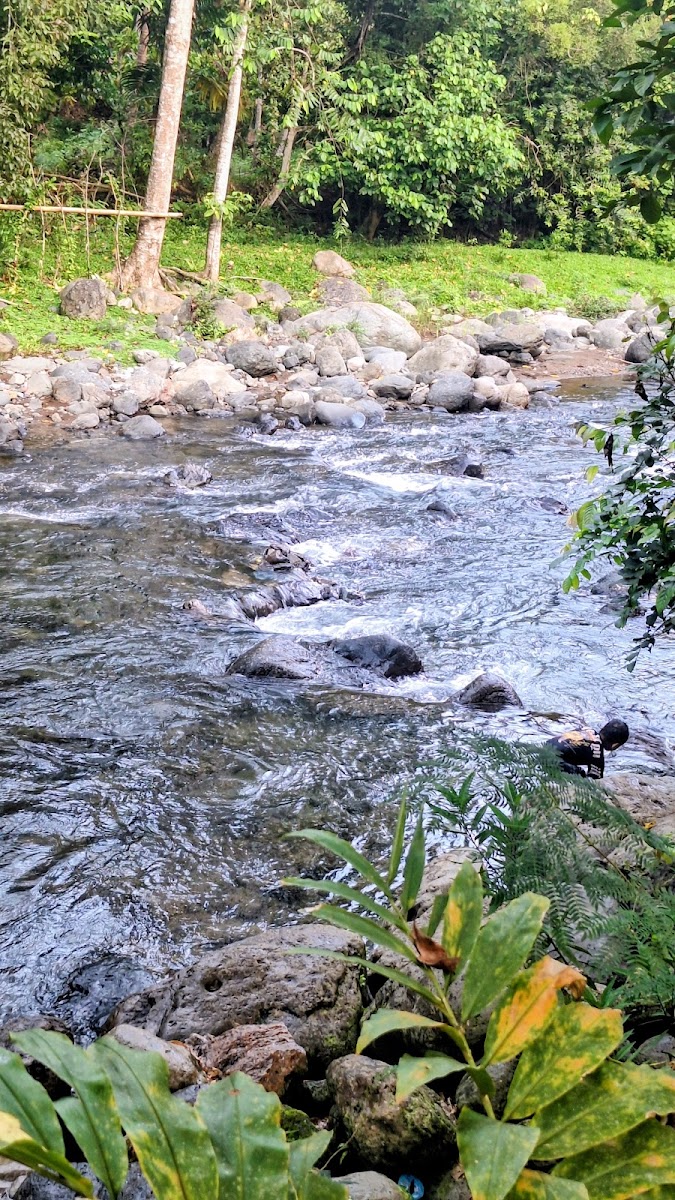 Wisata Alam Lembah Tottong