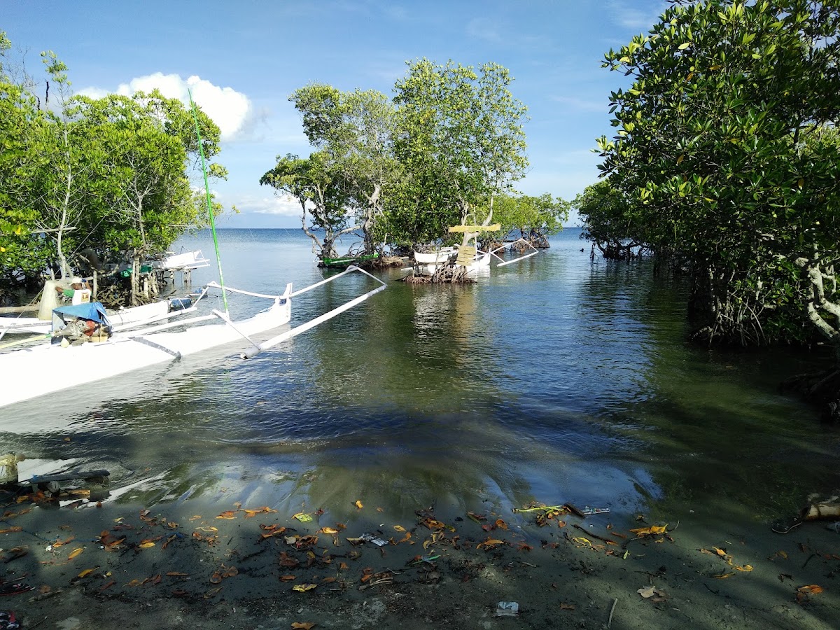 GMP (Gonda Mangrove Park)