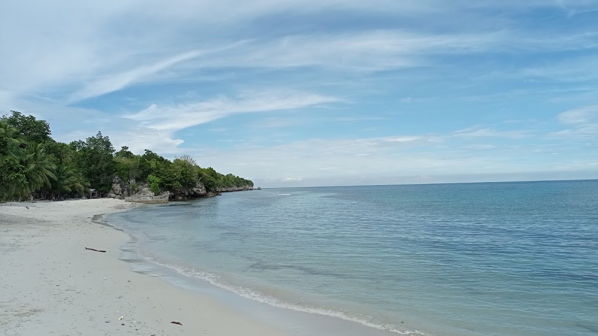 Pantai palippis