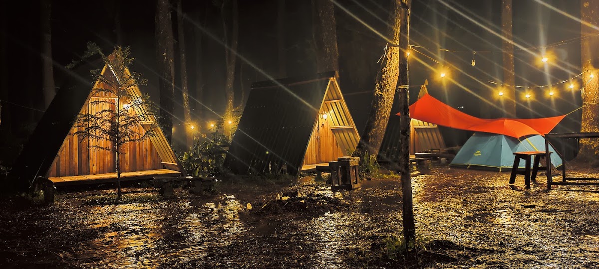 Hutan Pinus Camping Ground Lembanna