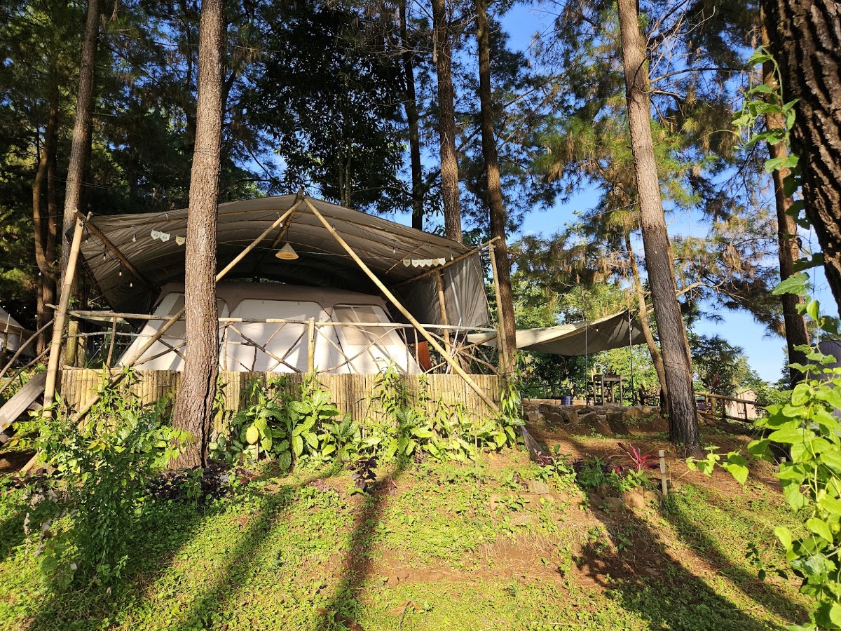 Pinuslo Glamping and Cafe