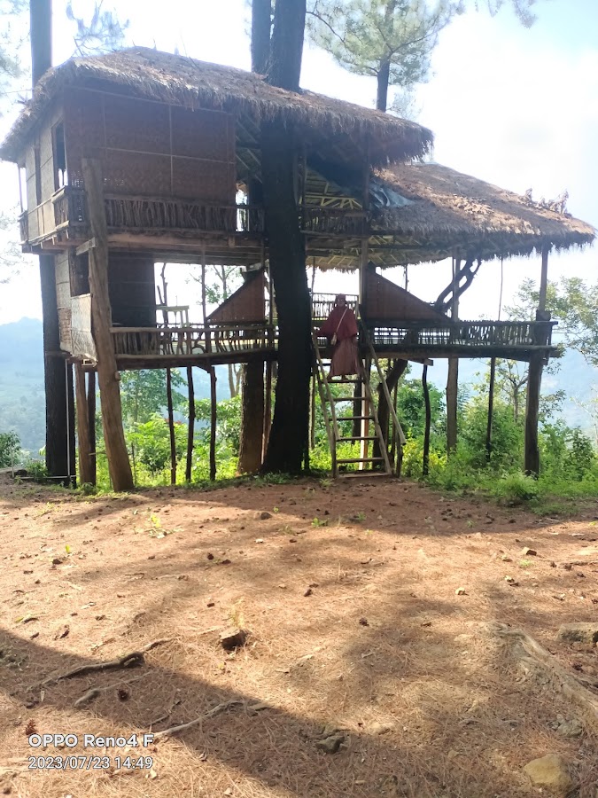 Perkemahan Tengah Hutan Bissoloro