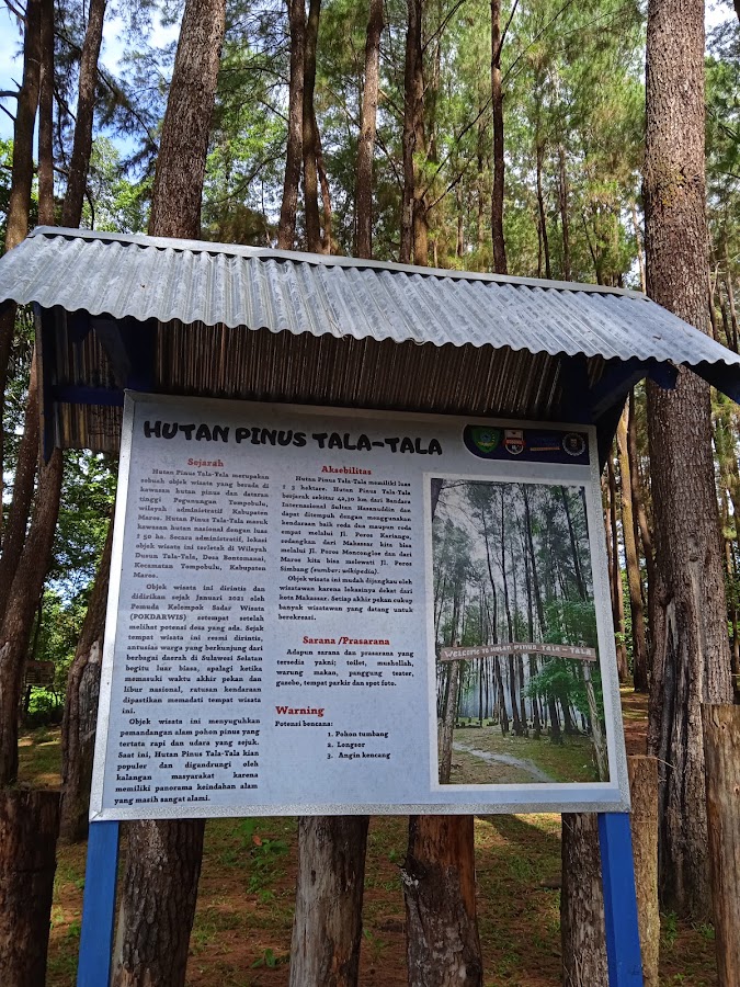 Hutan Pinus Tala-tala