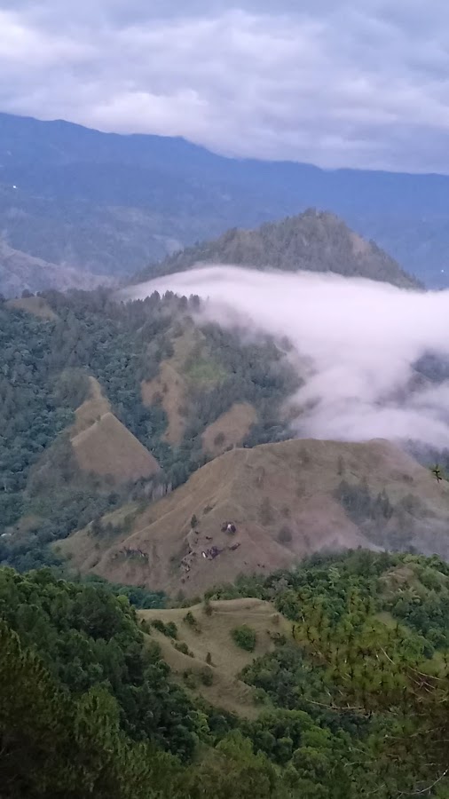 Hutan Pinus camping ground tanete kararu