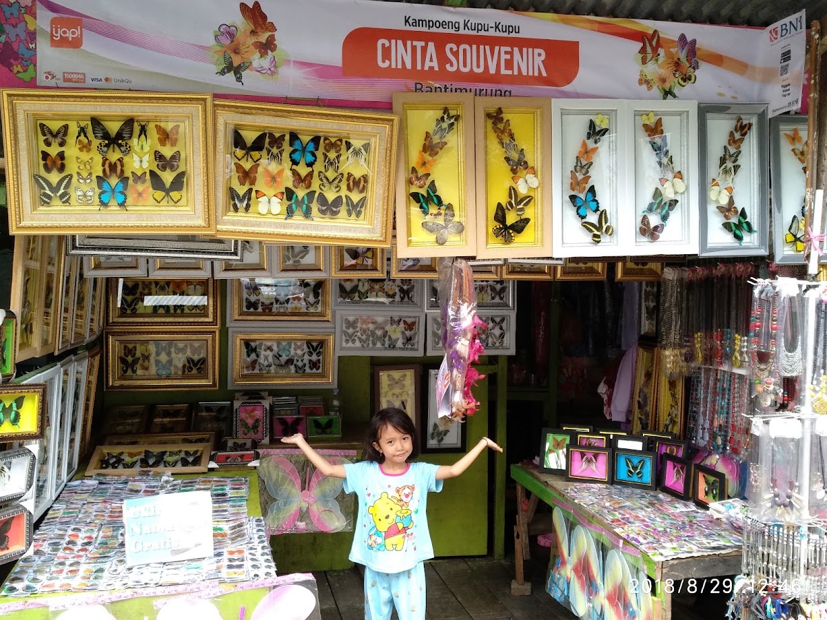 Cinta Souvenir Bantimurung