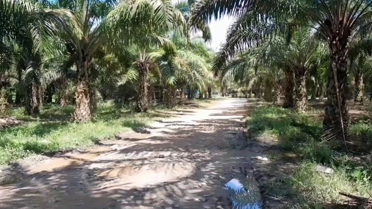 Wisata Alam Sulili Baebunta