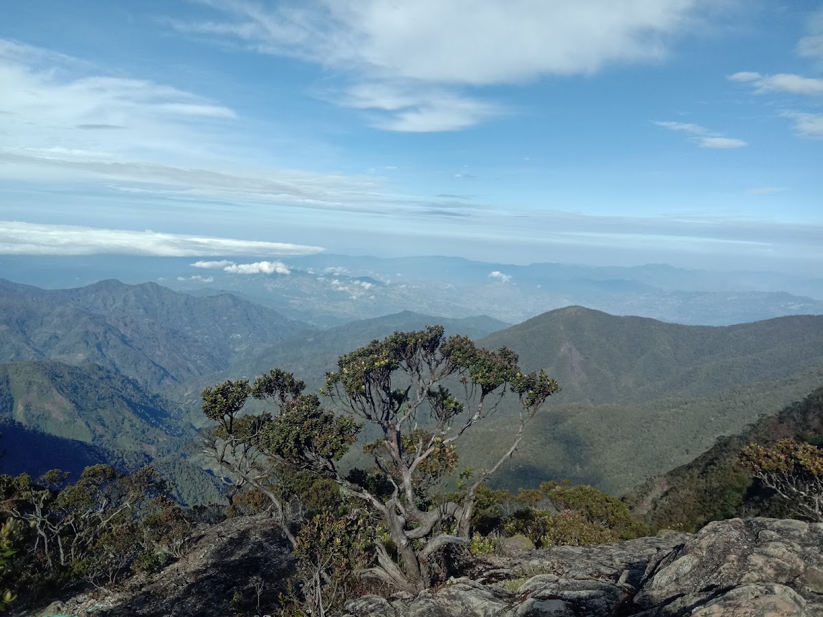 Gunung Latimojong