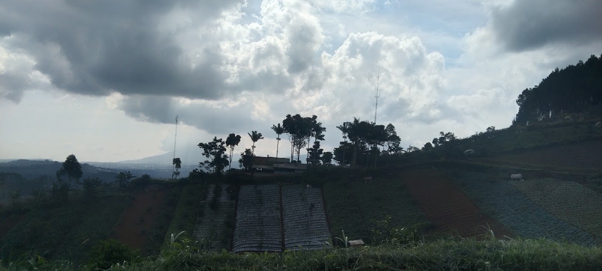 Bukit Moko Bandung