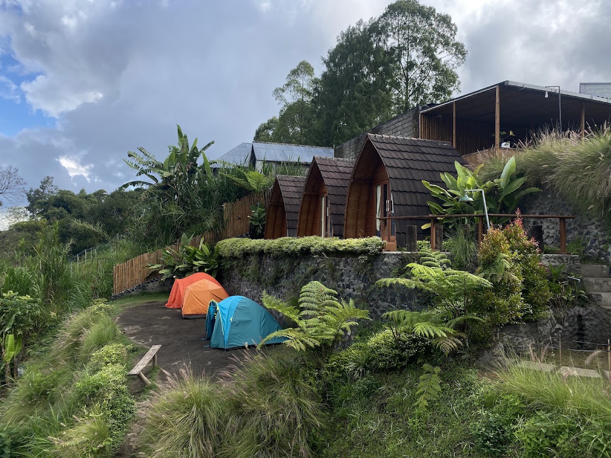 Jungle Camping Kintamani