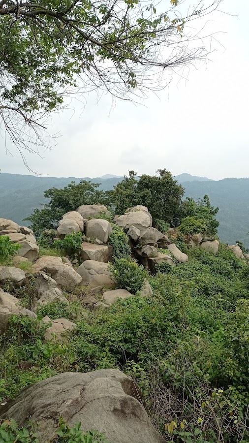Taman Batu Gunung Karang