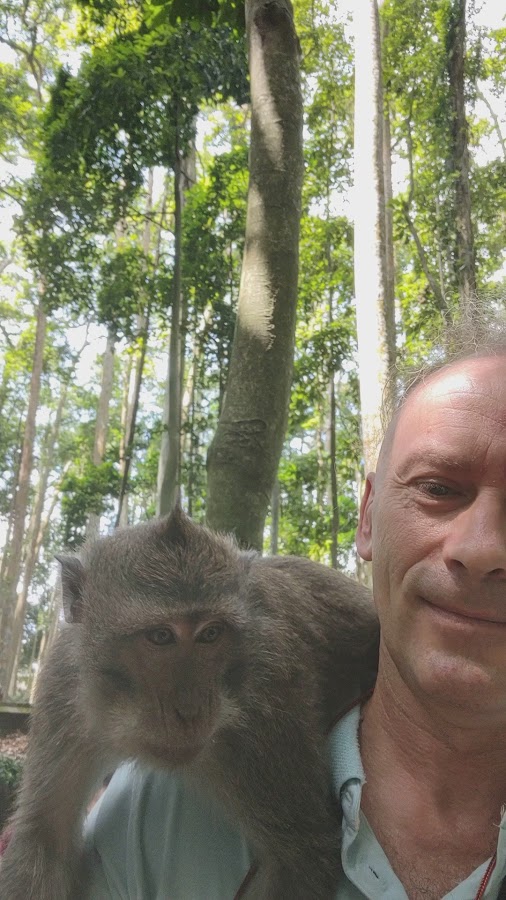 Sangeh Monkey Forest