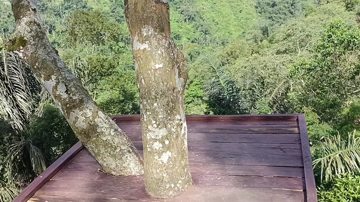 Air Terjun Nungnung